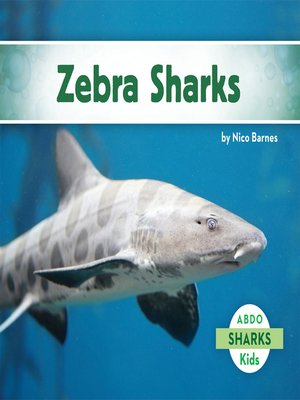 cover image of Zebra Sharks